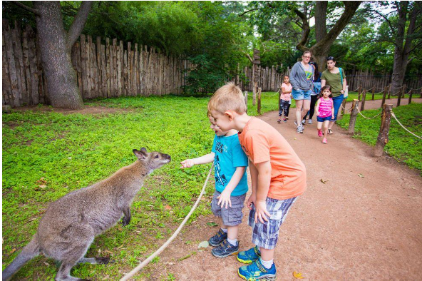 Evenpro | Willianpark: Más que un Parque, un Mundo Mágico que Se Ilumina de Noche