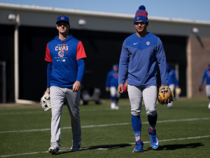 Cachorros-de-Chicago.png