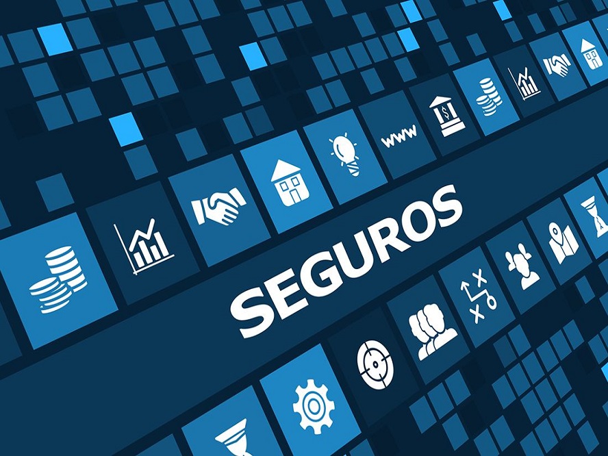Ligia Carolina Gorriño Castellar - Seguros ¡Herramienta ideal para proteger patrimonios y negocios! - FOTO