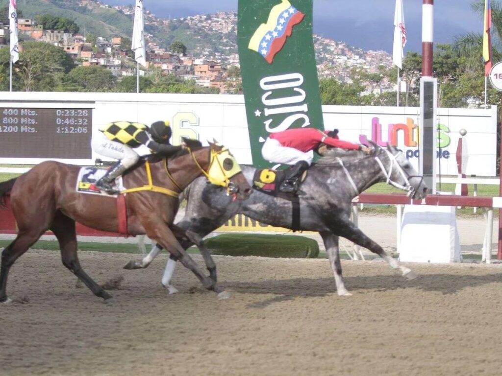 El moro Vida pasó al establo del líder Ricardo D’Angelo