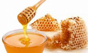 Todos los Usos de la Miel en Gastronomía que no Conocías y las Increíbles Propiedades de este Alimento 