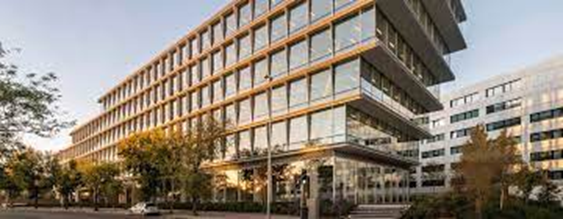 Un Vínculo Entre Funcionalidad y Estética