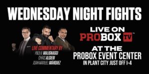 Wednesday Night Fights ProBox