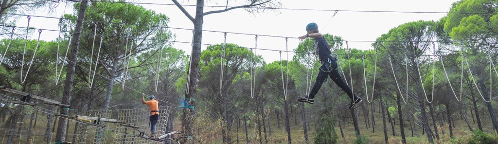 viaje fin de curso